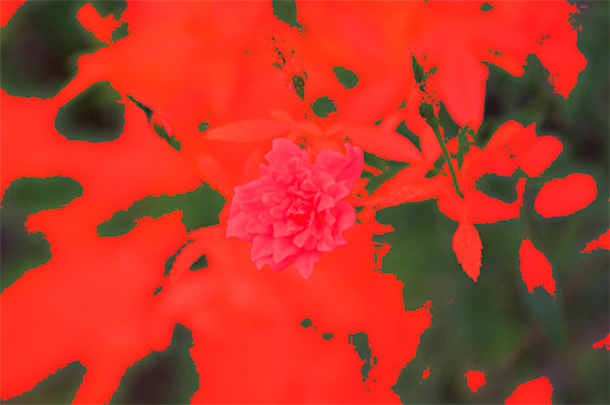 SS-2013-01-11-23.04.00