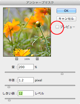 SS-2013-07-09-15.25.18